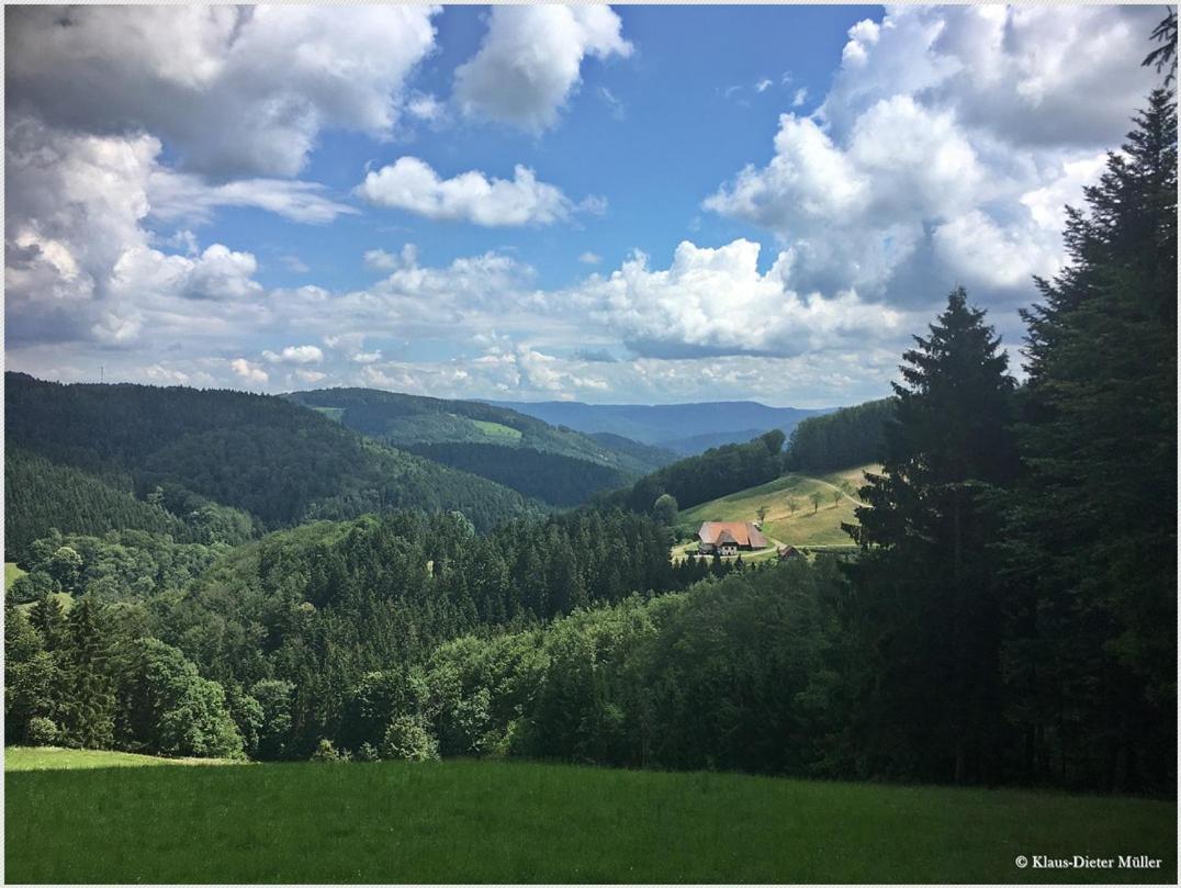Haus Am Waldrand Villa Triberg im Schwarzwald Buitenkant foto