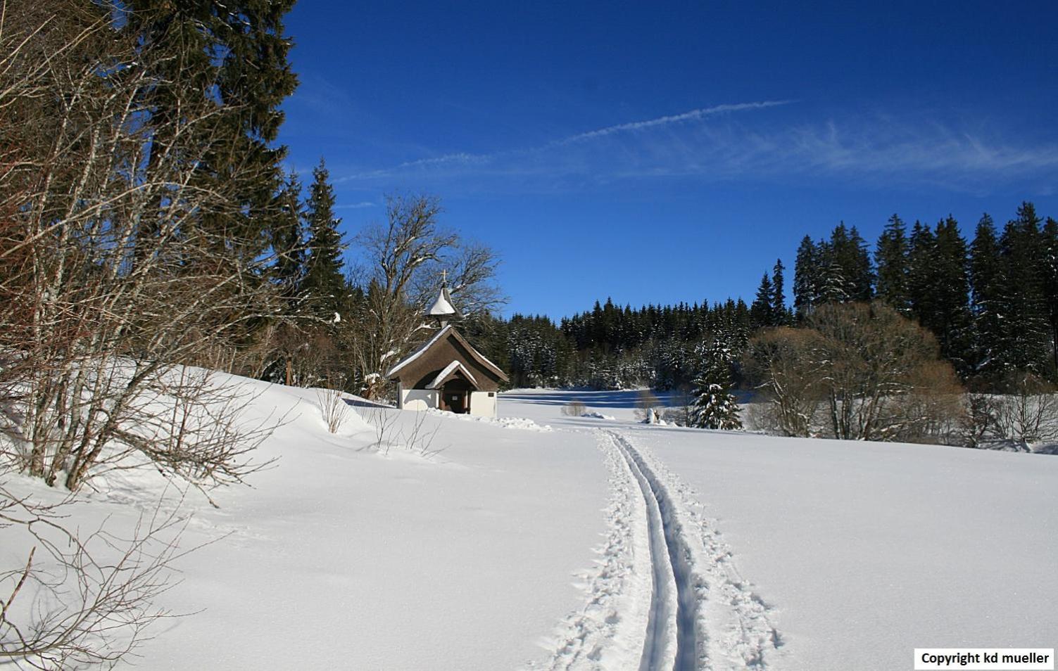 Haus Am Waldrand Villa Triberg im Schwarzwald Buitenkant foto