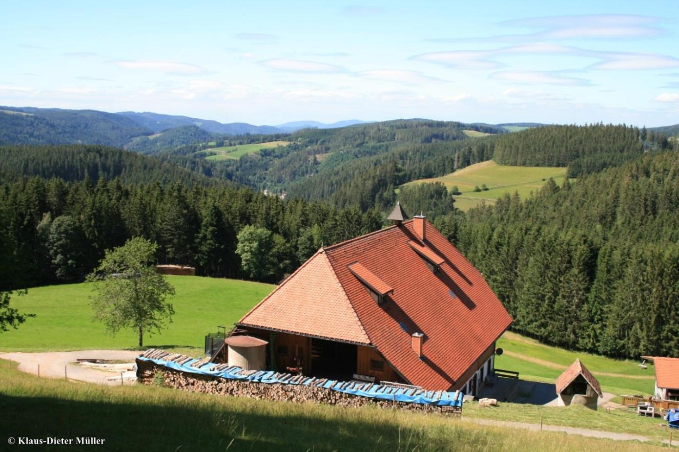Haus Am Waldrand Villa Triberg im Schwarzwald Buitenkant foto