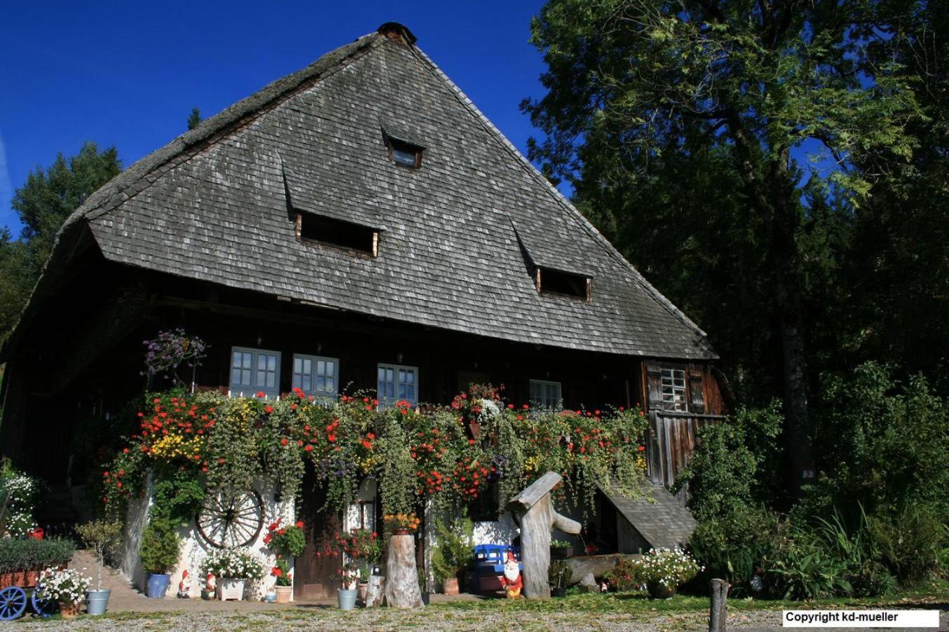 Haus Am Waldrand Villa Triberg im Schwarzwald Buitenkant foto