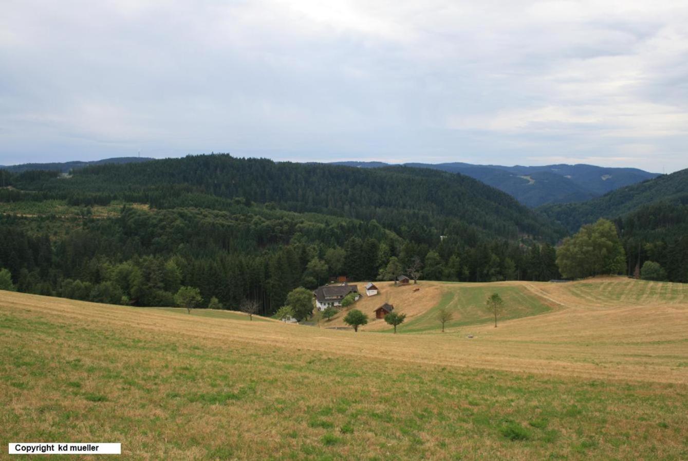 Haus Am Waldrand Villa Triberg im Schwarzwald Buitenkant foto