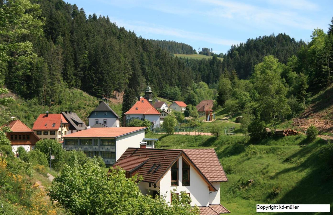 Haus Am Waldrand Villa Triberg im Schwarzwald Buitenkant foto