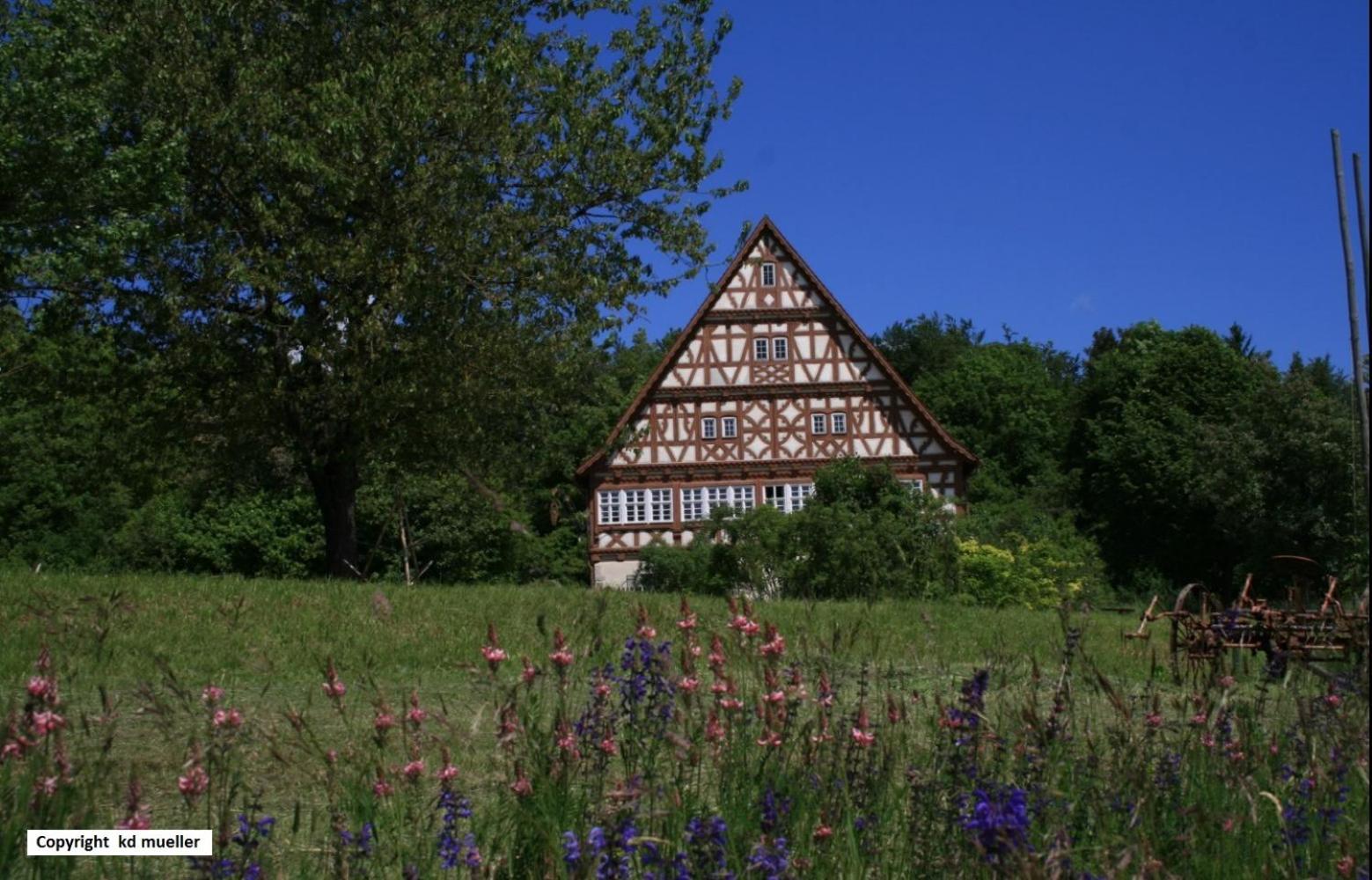 Haus Am Waldrand Villa Triberg im Schwarzwald Buitenkant foto