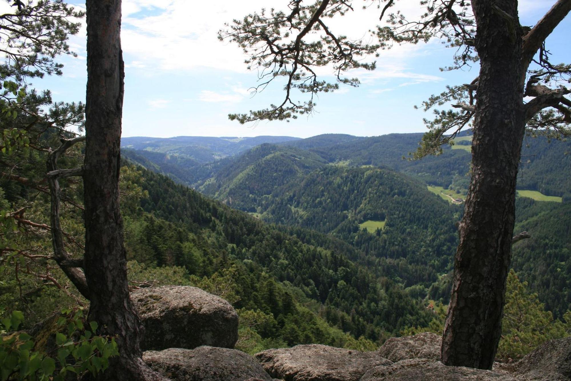 Haus Am Waldrand Villa Triberg im Schwarzwald Buitenkant foto