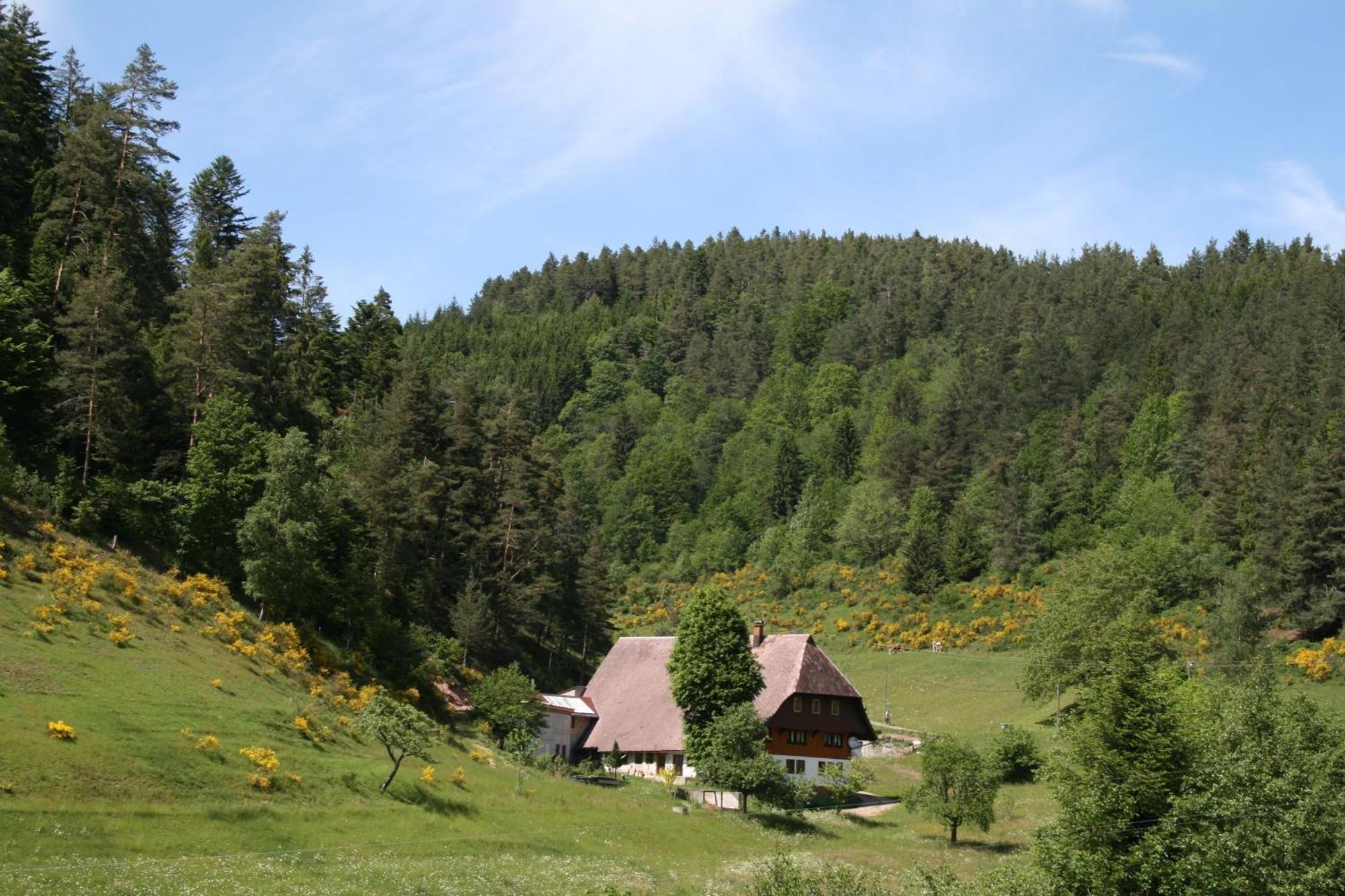 Haus Am Waldrand Villa Triberg im Schwarzwald Buitenkant foto
