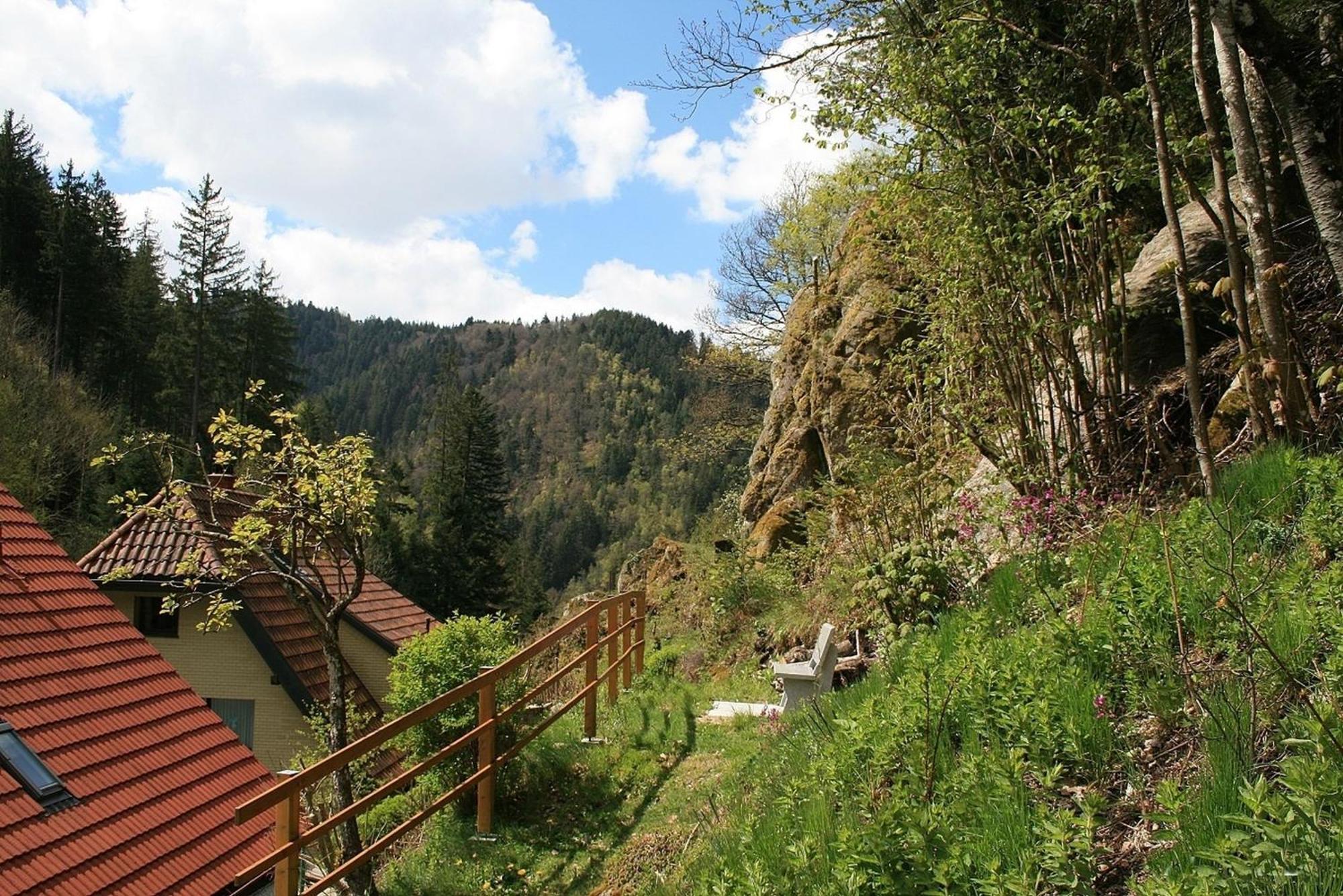 Haus Am Waldrand Villa Triberg im Schwarzwald Buitenkant foto