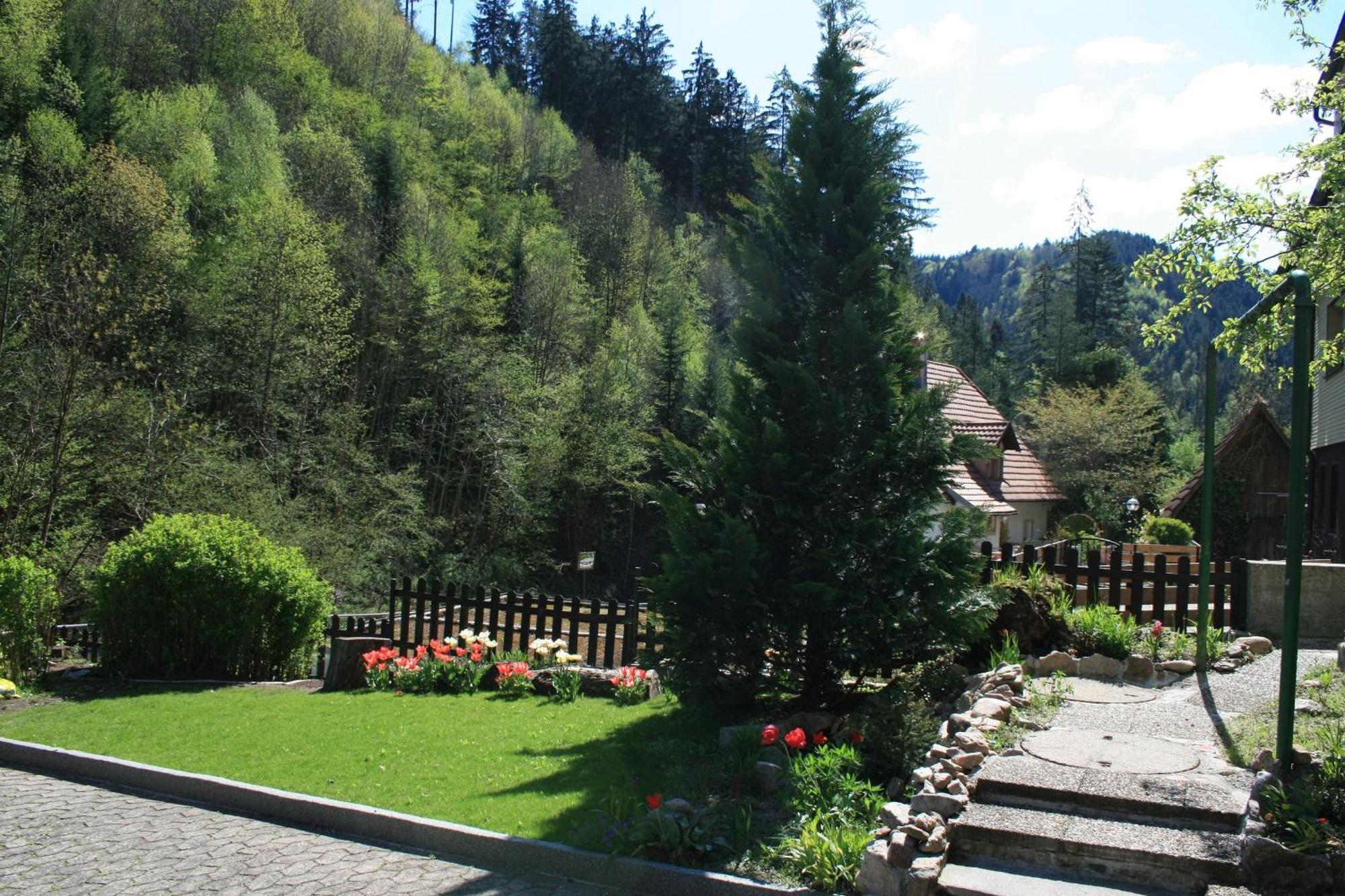 Haus Am Waldrand Villa Triberg im Schwarzwald Buitenkant foto
