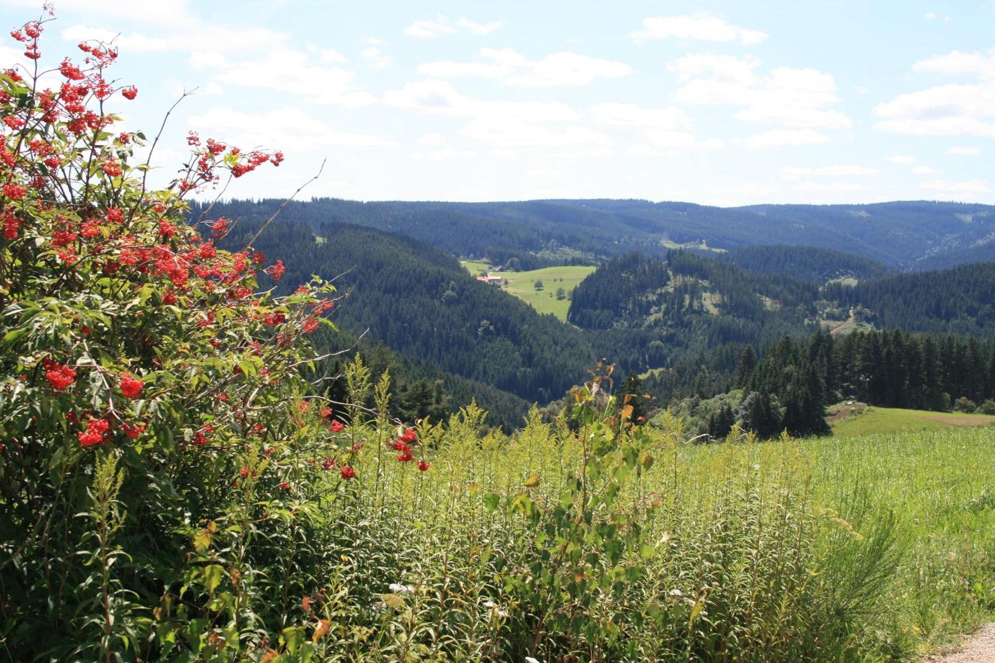 Haus Am Waldrand Villa Triberg im Schwarzwald Buitenkant foto